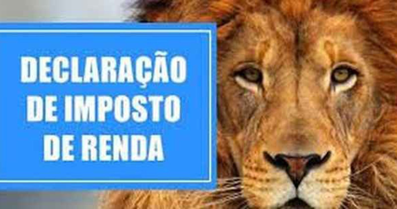 Imagem ilustrativa: Sindicato de Tapejara realiza Declaração do Imposto de Renda