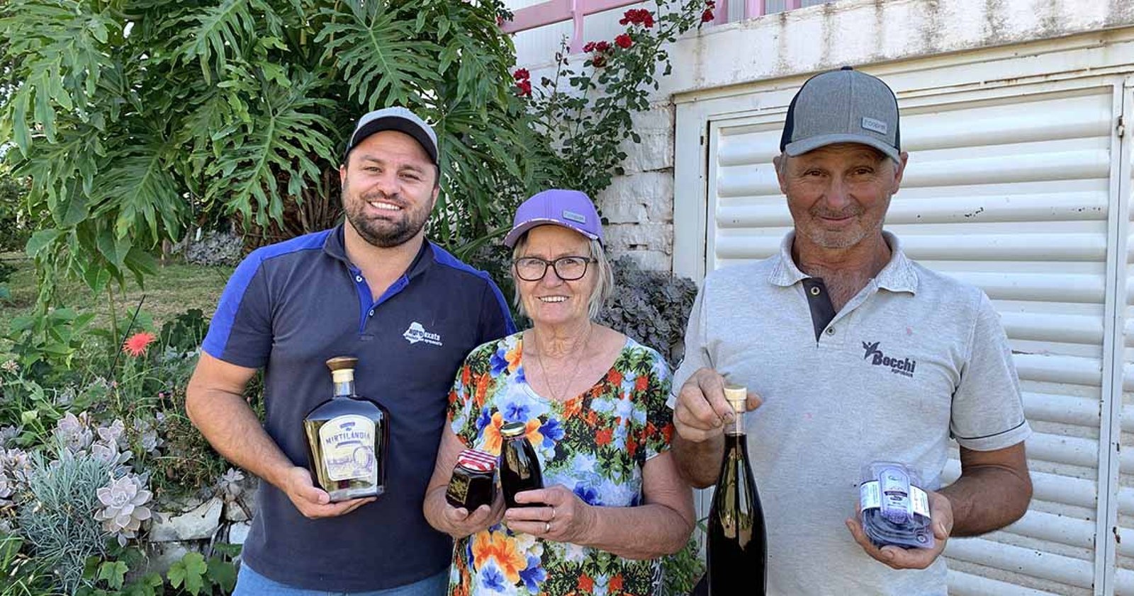 Imagem ilustrativa: Família de Muliterno investe em irrigação e refrigeração para produção de mirtilos