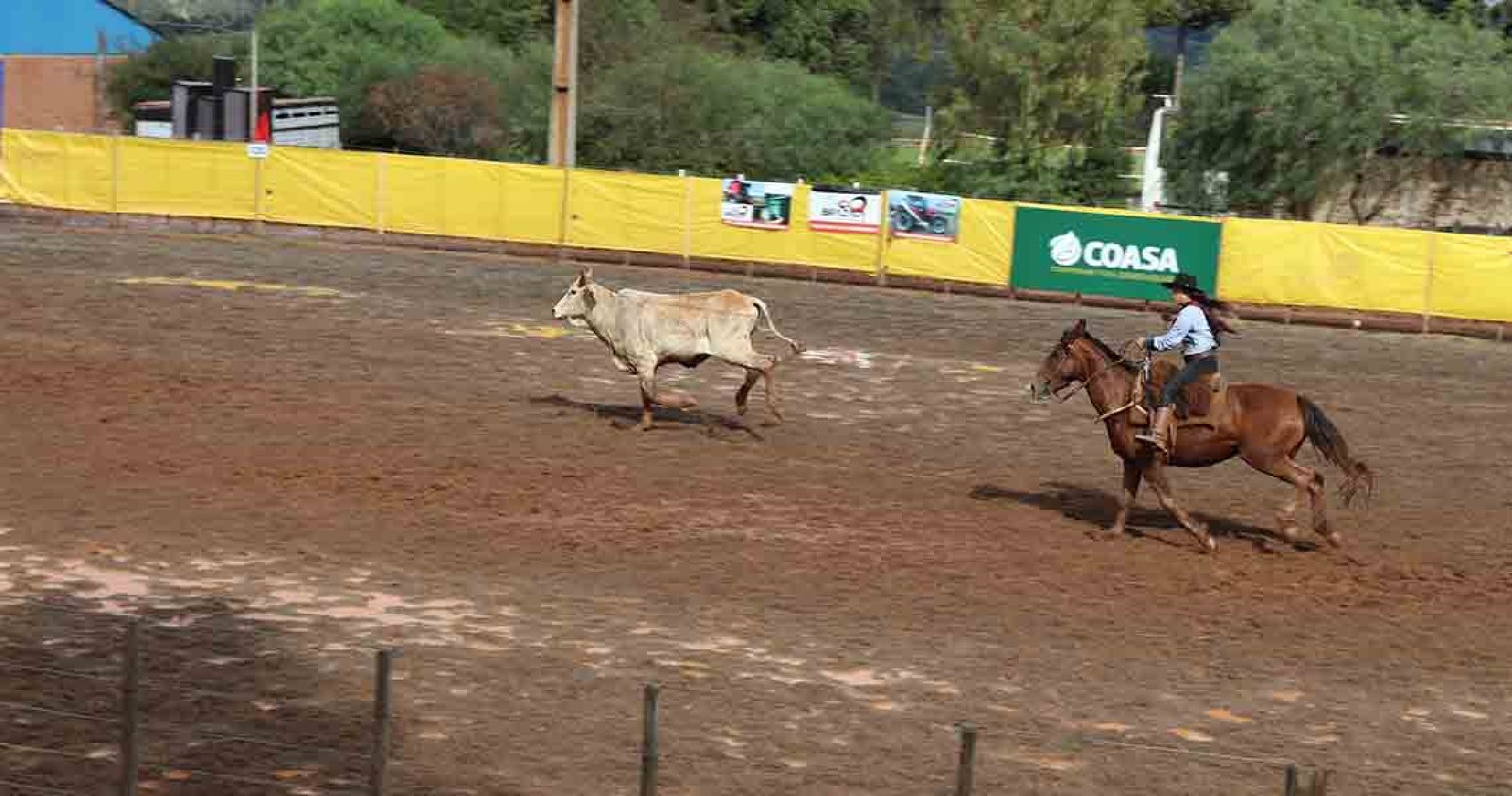Imagem ilustrativa: Gineteadas marcam o 9ª Torneio de Laço de Água Santa