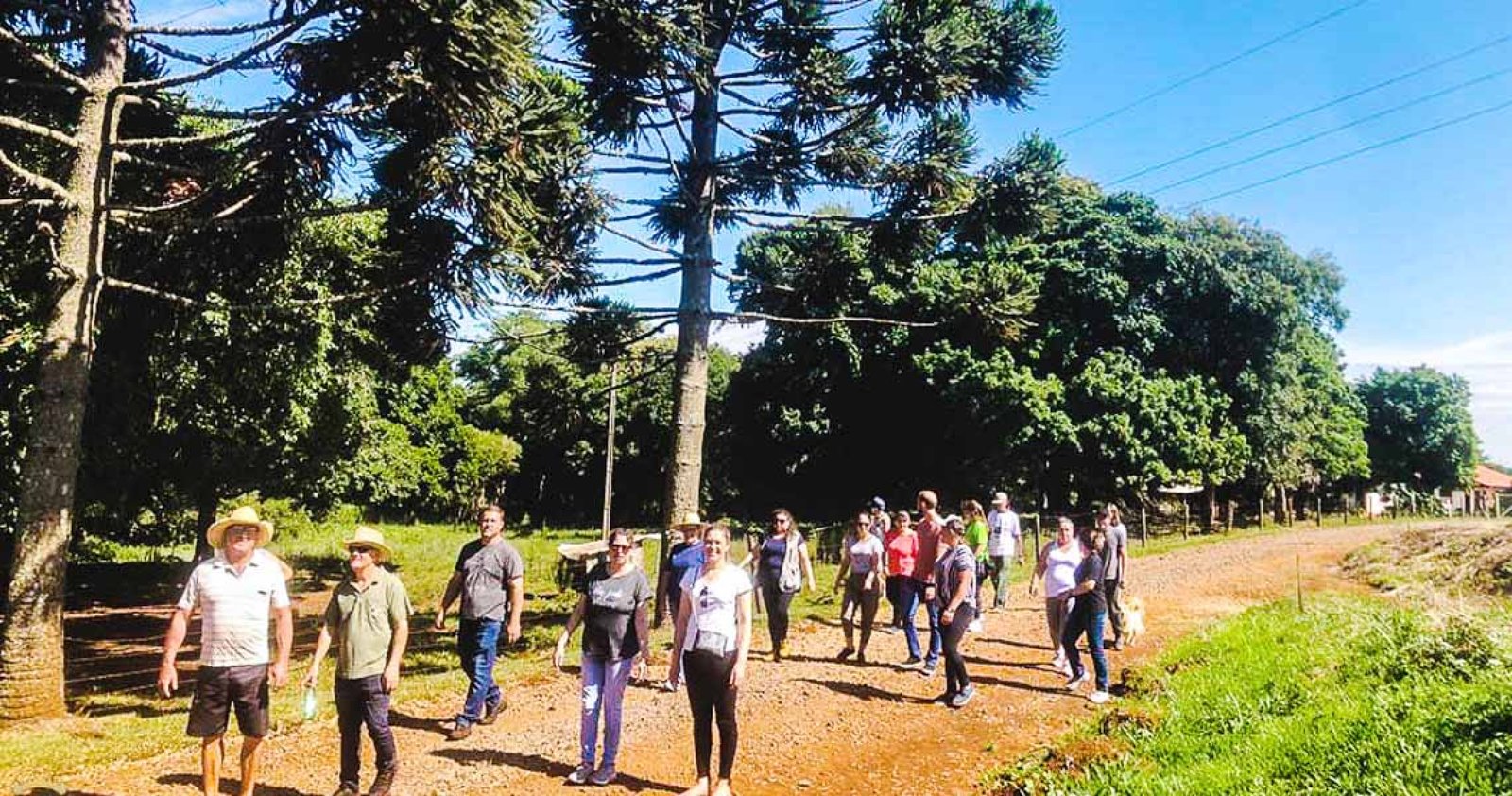 Imagem ilustrativa: Curso de turismo rural é realizado pela primeira vez em Ibiaçá