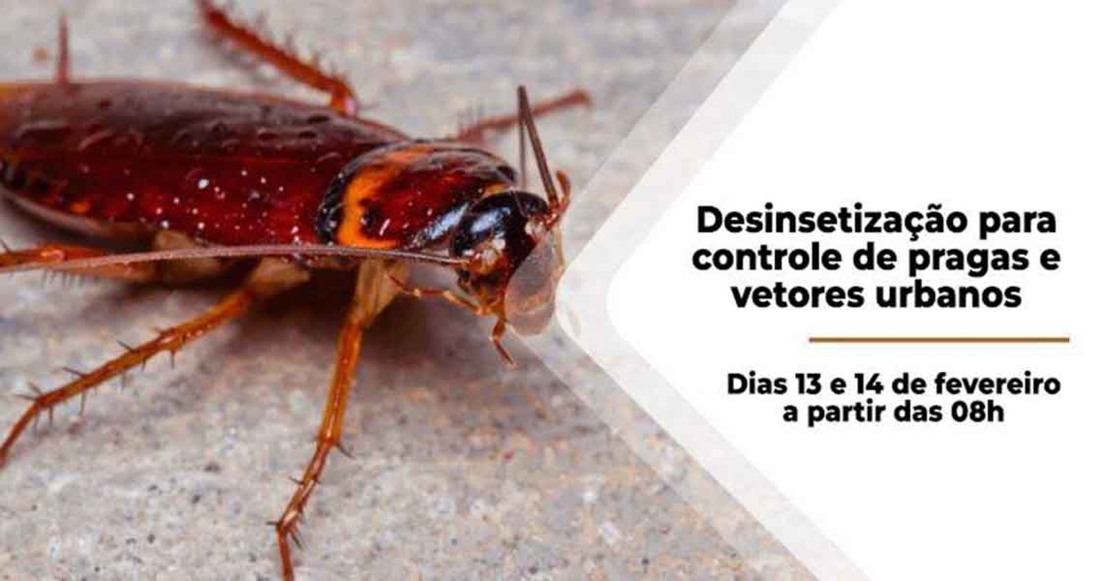 Imagem ilustrativa: Desinsetização para controle de pragas na área urbana de Sananduva