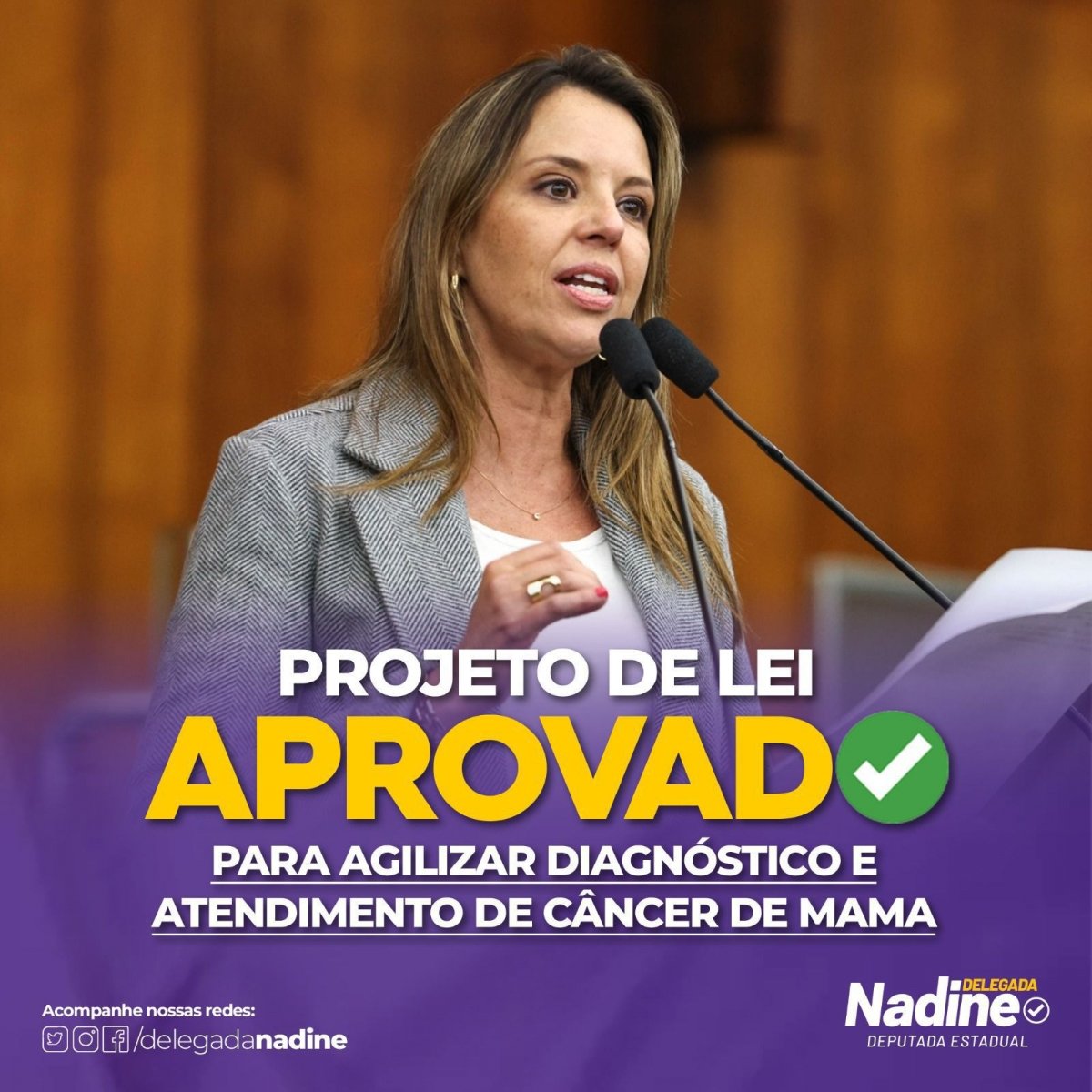 Imagem ilustrativa: Assembleia do RS aprova programa de navegação para câncer de mama