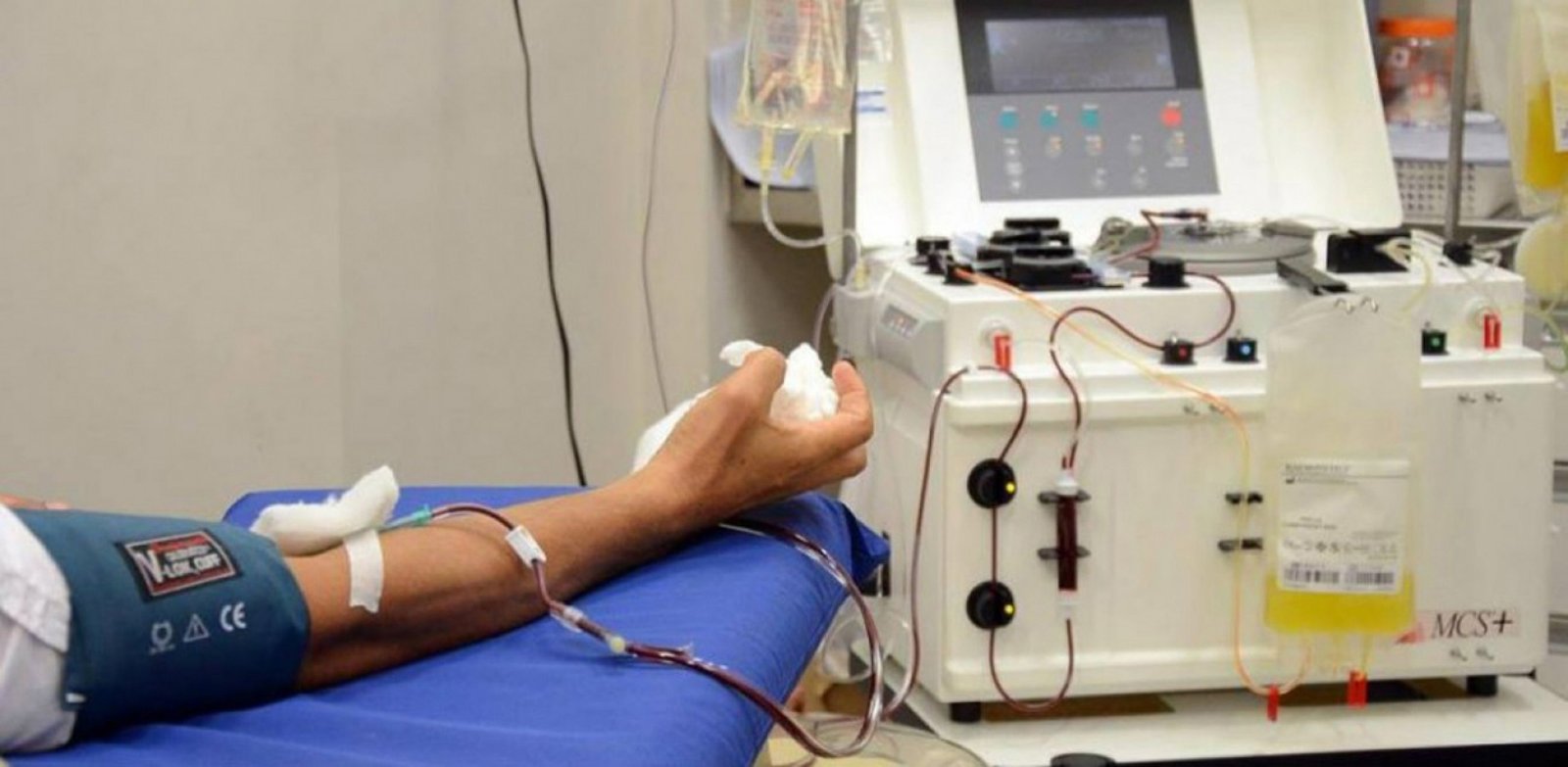 Imagem ilustrativa: IMED promove campanha para sensibilizar doação de medula óssea