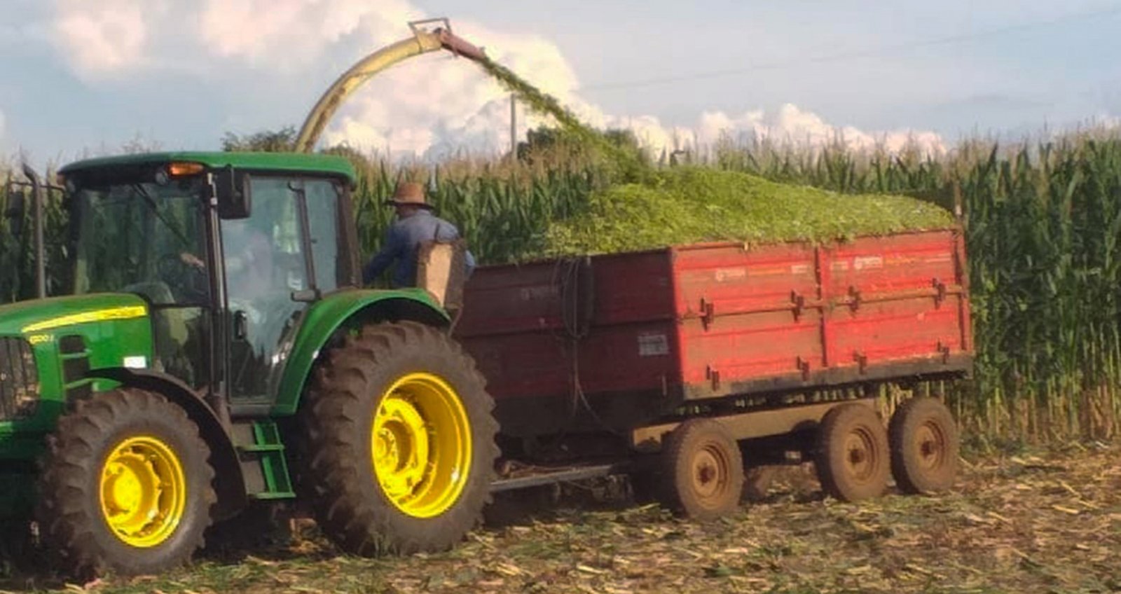 Imagem ilustrativa: Agricultores recebem auxílio na produção de silagem em Charrua
