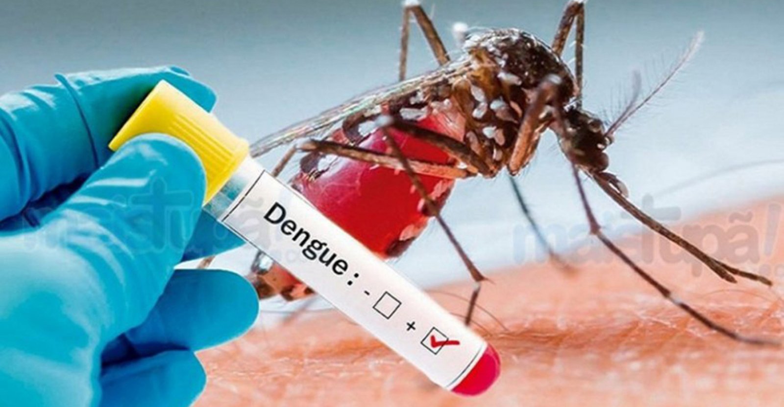Imagem ilustrativa: RS tem 99 municípios em alerta ou alto risco de transmissão da dengue