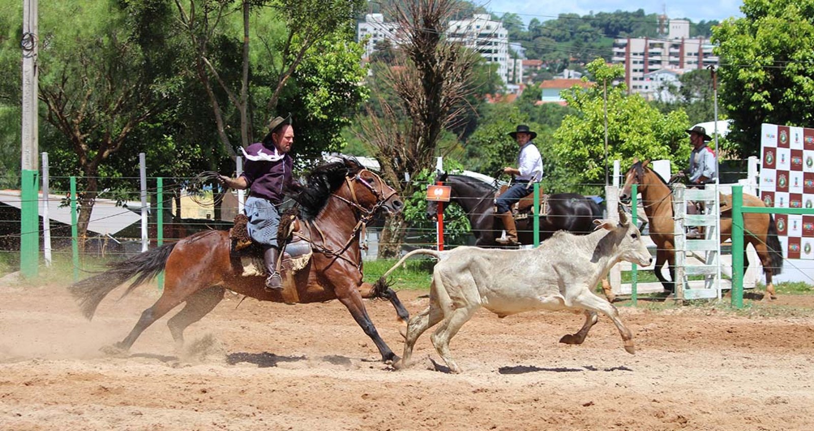 Imagem ilustrativa: II Rodeio Internacional de Tapejara contou com número recorde de inscritos
