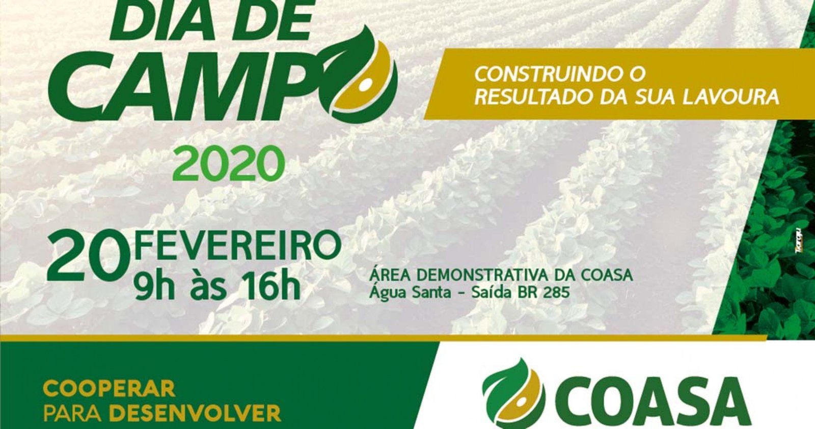 Imagem ilustrativa: Coasa realiza mais um Dia de Campo na próxima quinta-feira