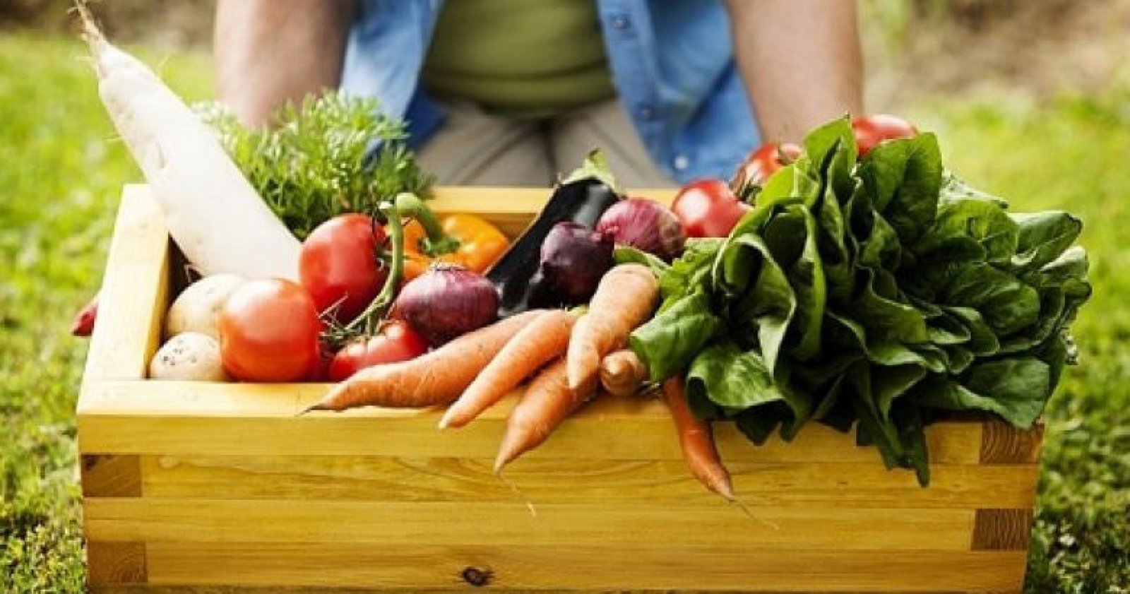 Imagem ilustrativa: PAA de Água Santa completa 2 anos de doações de alimentos para o HSA