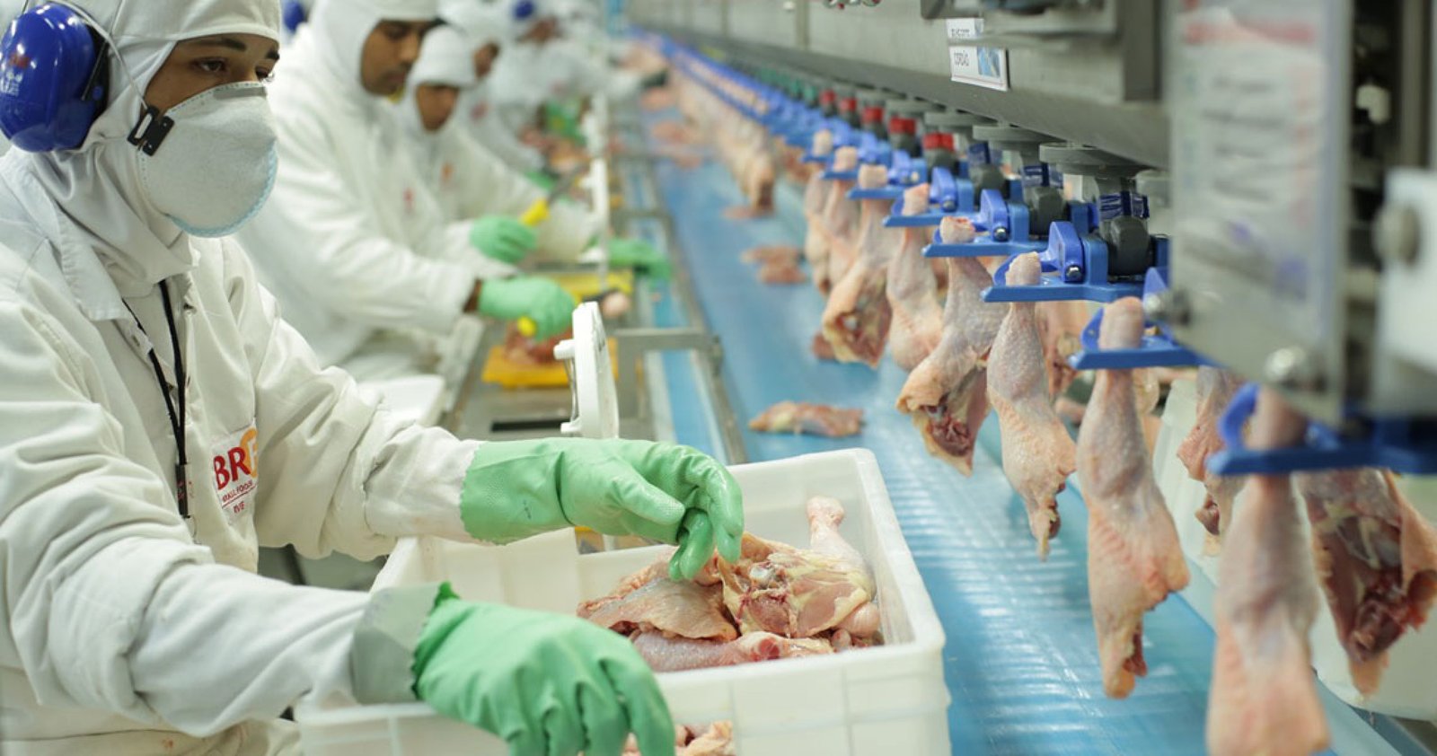 Imagem ilustrativa: Exportações de carne de frango mantém alta de 5,1 em 2020