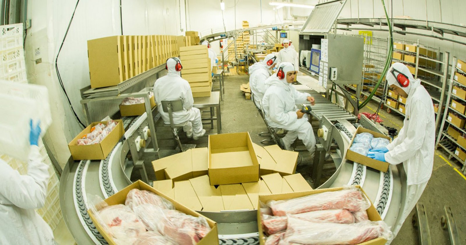 Imagem ilustrativa: Exportações de carne suína crescem 19 por cento em abril