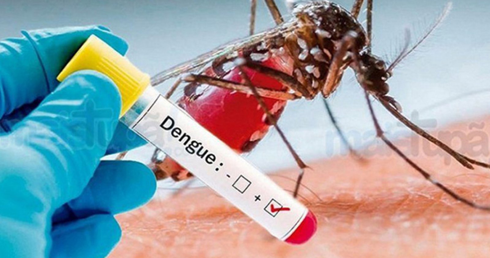 Imagem ilustrativa: RS tem o maior número de casos de dengue desde 2016