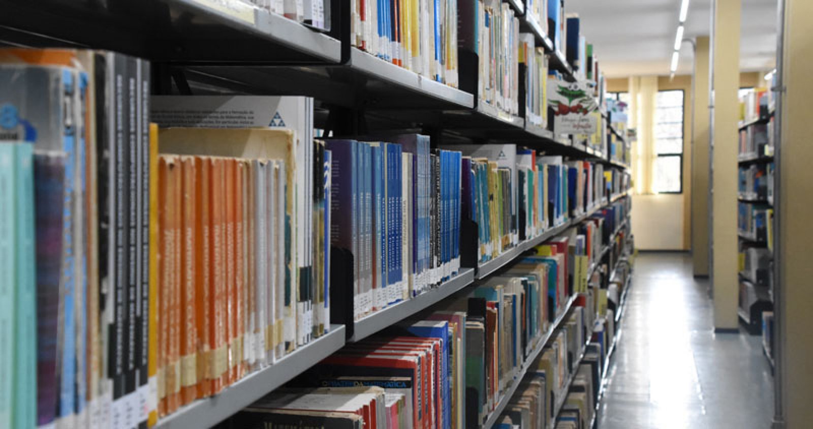 Imagem ilustrativa: UPF Editora agora conta com prestação de serviços de revisão de TCCs, teses e dissertações