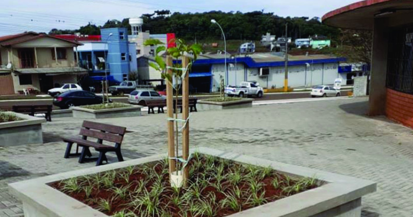 Imagem ilustrativa: Praça de Lazer junto ao Ginásio Municipal de Tapejara recebe plantio de árvores