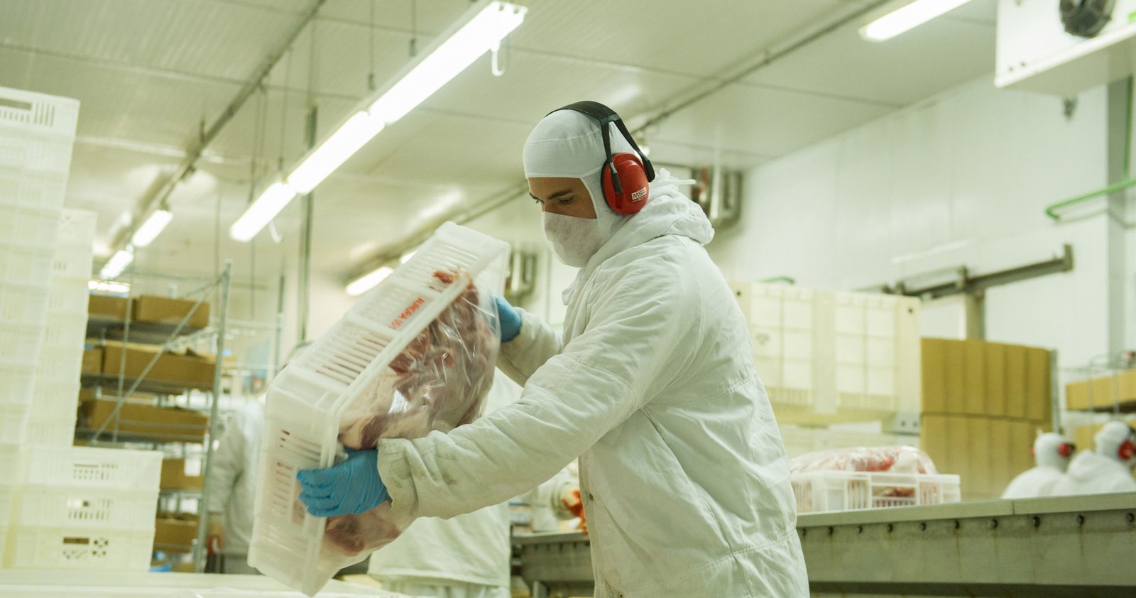 Imagem ilustrativa: Exportações brasileiras de carne suína crescem 50,4 por cento em junho