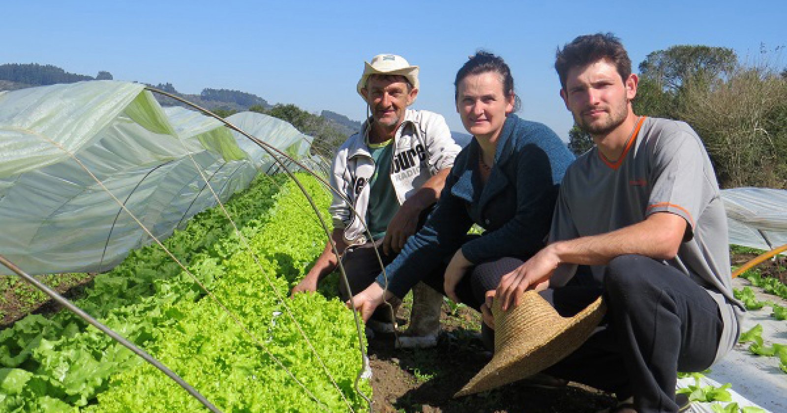 Imagem ilustrativa: Dia do Agricultor - Saúde se aproxima de ser o foco da agricultura
